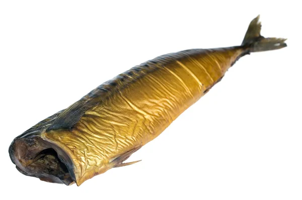 Uzená makrela, samostatný — Stock fotografie