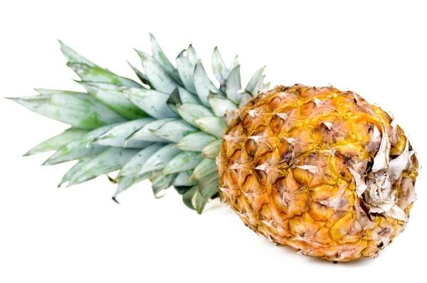 Stock image Pineapple