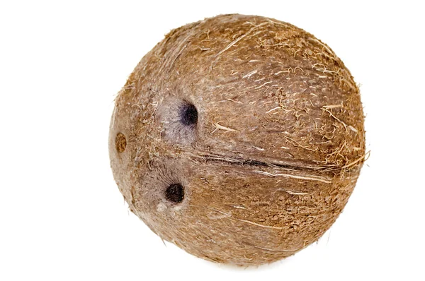 Kokosnoot geïsoleerd — Stockfoto