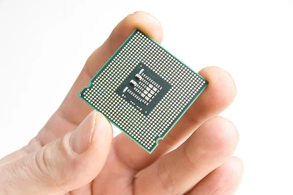 stock image Processor in the hand