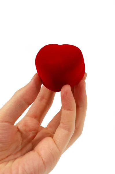 stock image Hand holding red heart