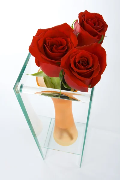 Three red roses in a vase — Stock Photo, Image