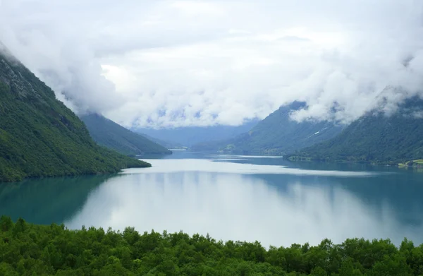 Madera de abeto y lago en Noruega — Foto de Stock