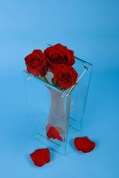 Roses in the glass vase — Stock Photo, Image