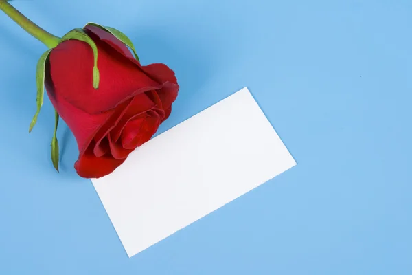 Rosa vermelha e cartão de visita — Fotografia de Stock