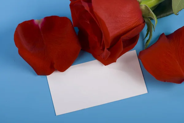 Rose and note — Stock Photo, Image