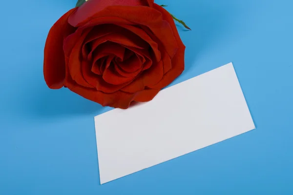 Note and rose — Stock Photo, Image