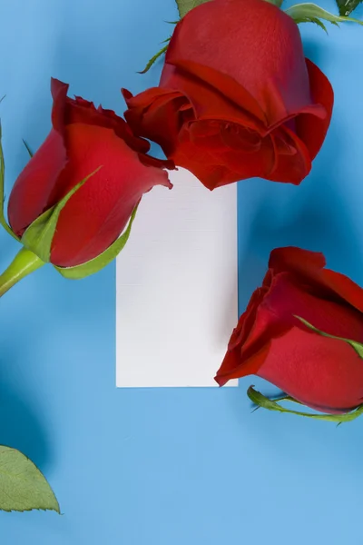 Roses and note — Stock Photo, Image