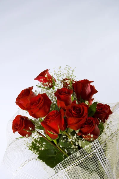 Roses of love — Stock Photo, Image