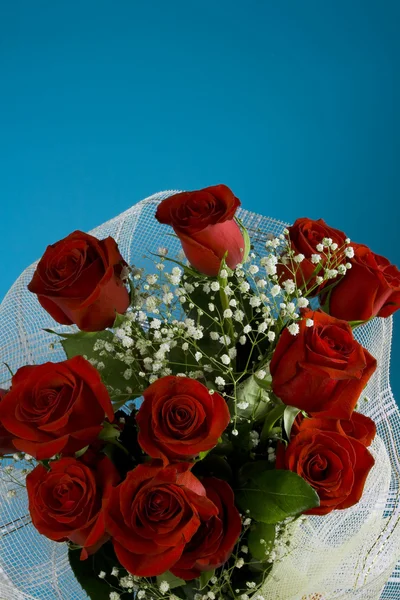 장미의 붉은 꽃 봉 오리 — 스톡 사진