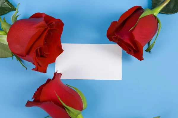 Roses around the note — Stock Photo, Image