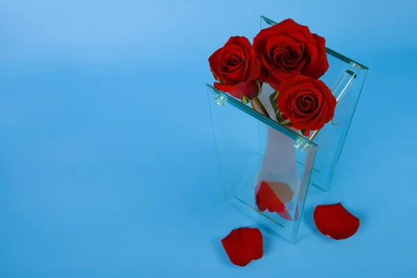 Three red roses in vase — Stock Photo, Image