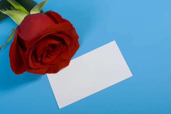 Red rose and note — Stock Photo, Image