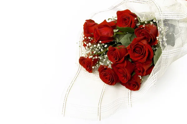 Bouquet of claret roses — Stock Photo, Image