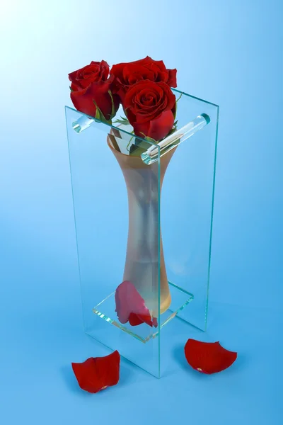 Три розы в вазе — стоковое фото