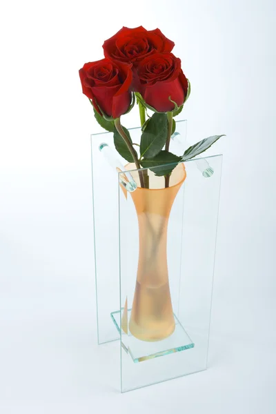 stock image Roses in a vase