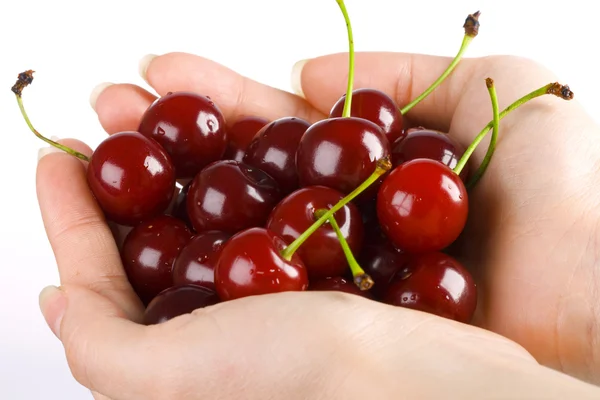 Cherry in a palm — Stock Photo, Image
