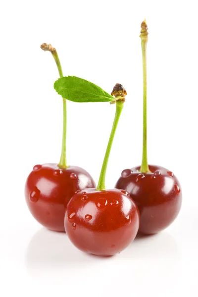 Ripe three cherries — Stock Photo, Image