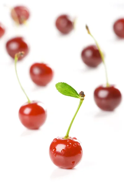 Cherry dans — Stockfoto