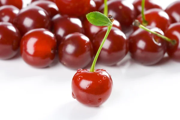 Cherry harvest — Stock Photo, Image