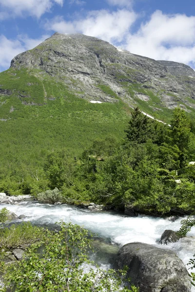 The mountain river — Stock Photo, Image