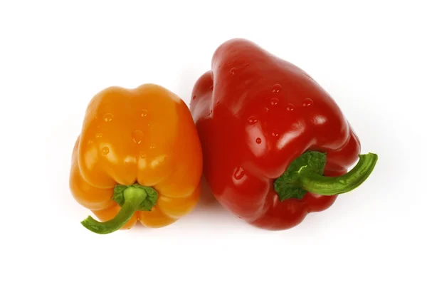 stock image Bulgarian orange and red peppers