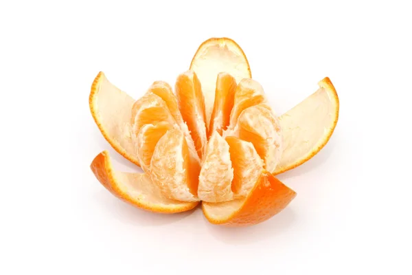 Appelsiini Kukka — kuvapankkivalokuva