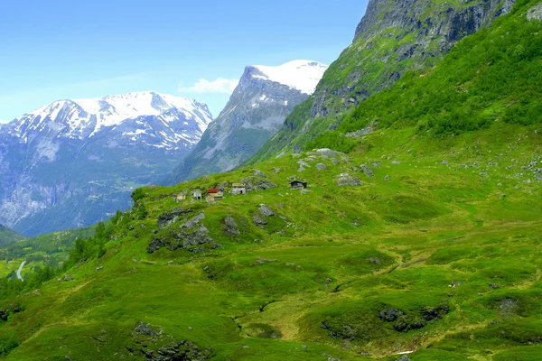Дома в Норвегии — стоковое фото