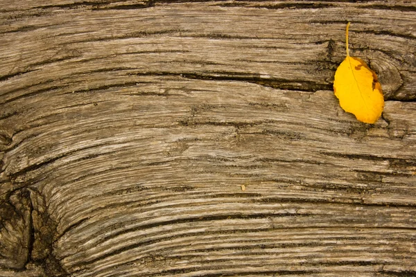 stock image Old oak wood with deep cracks