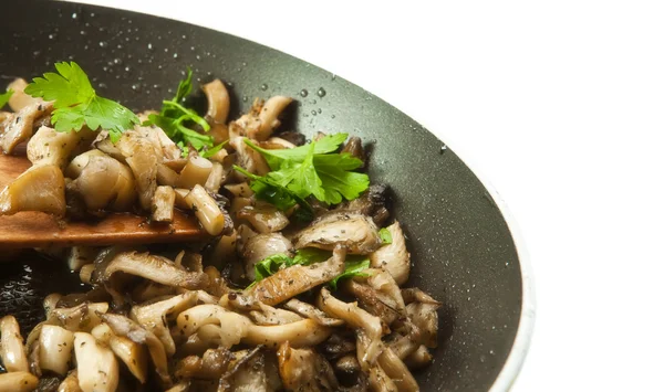 stock image Fried mushroom