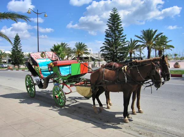 stock image Carriage