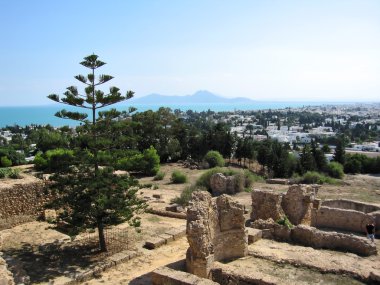 Ancient ruins of Carthage clipart