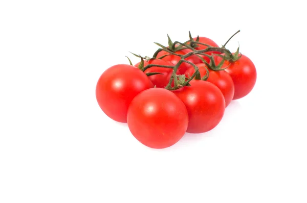 Tomato with white background — Stock Photo, Image