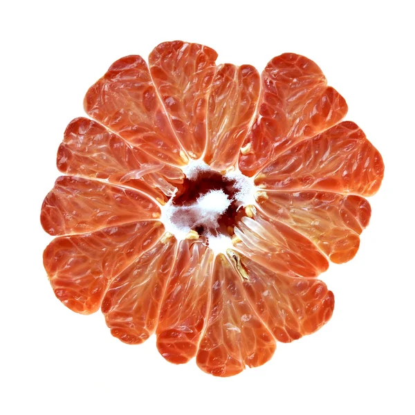 Citrus met zaden macro close-up — Stockfoto