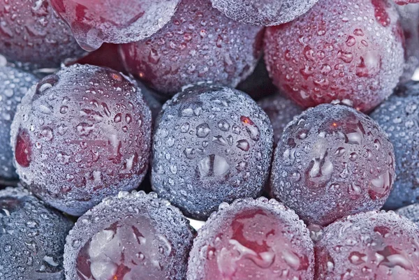 Uvas com gotas, frutas . — Fotografia de Stock