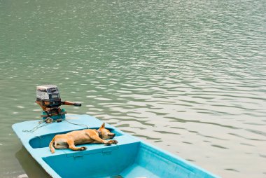 Relaxing dog in vacation on the boat clipart