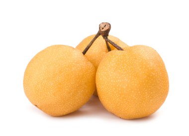 Bunch of isolated asian-pear fruit clipart