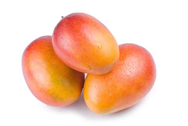 Owoce mango izolowane — Zdjęcie stockowe