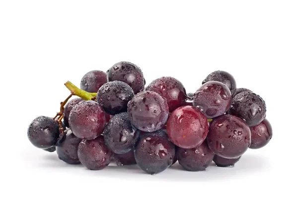 Isolated grapes with drops — Stock Photo, Image
