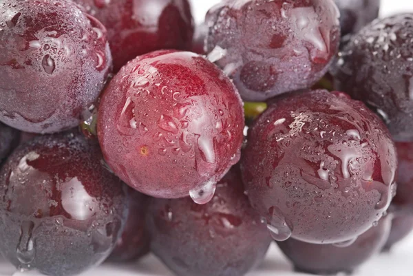 Trauben mit Wassertropfen, frisches Obst. — Stockfoto