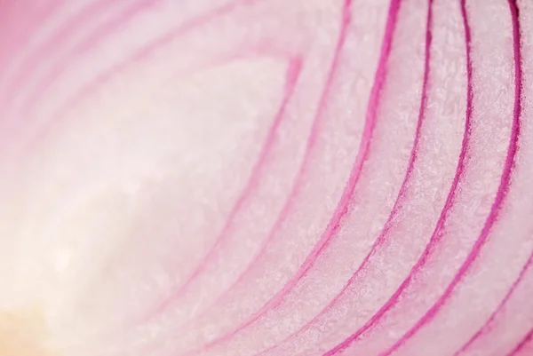 Dettaglio di cipolla viola, verdure — Foto Stock