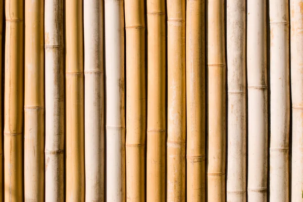 stock image Bamboo texture, architecture decoration