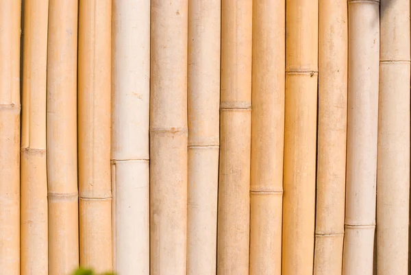 Бамбуковая текстура, архитектурное оформление — стоковое фото