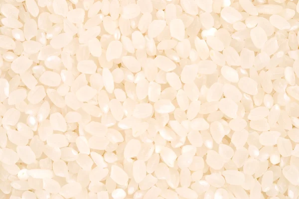 White rice as background — Stock Photo, Image