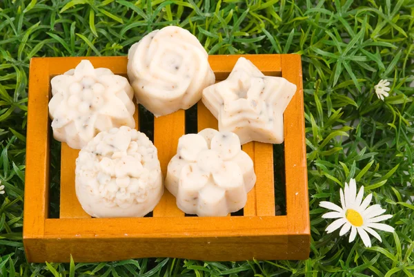 Handmade soap on green grass — Stock Photo, Image