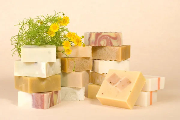Skupina handmade mýdlo, rostlinný materiál — Stock fotografie