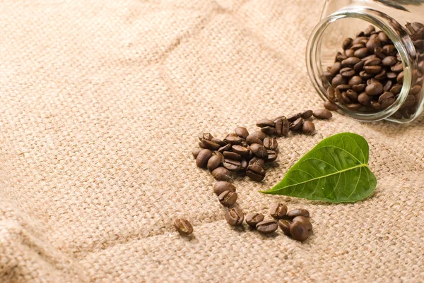 Кофейные зерна на коричневом мешковине — стоковое фото