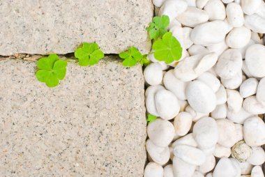 White pebble with green leaf clipart