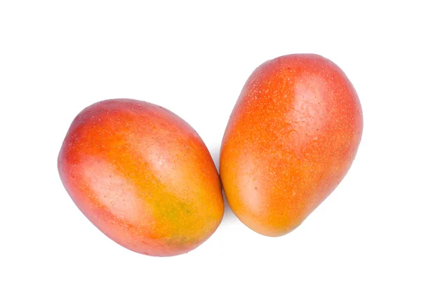 Isolerad mangofrukt — Stockfoto