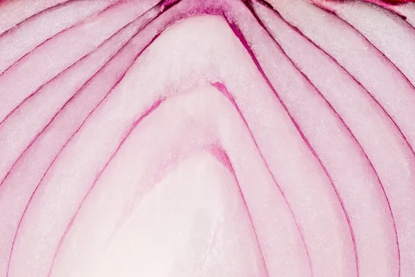 Detail fialové cibule, zeleninová — Stock fotografie